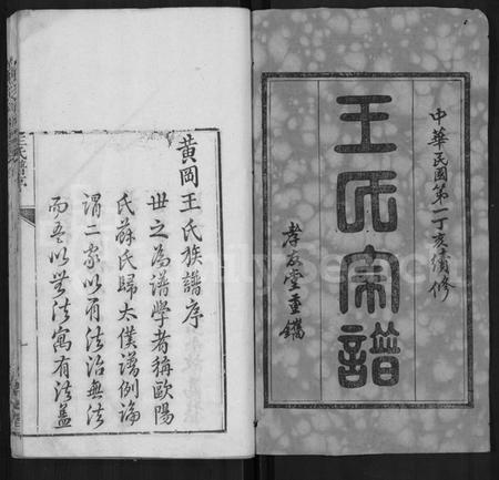 湖北王氏族谱-王氏宗谱 [48卷,首6卷].pdf电子版插图1