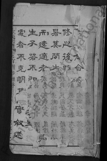 湖北王氏族谱-王氏宗谱 [各房分卷,首4卷].pdf电子版