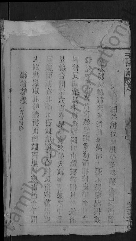 湖北王氏族谱-王氏宗谱 [各房分卷,首4卷].pdf电子版插图1