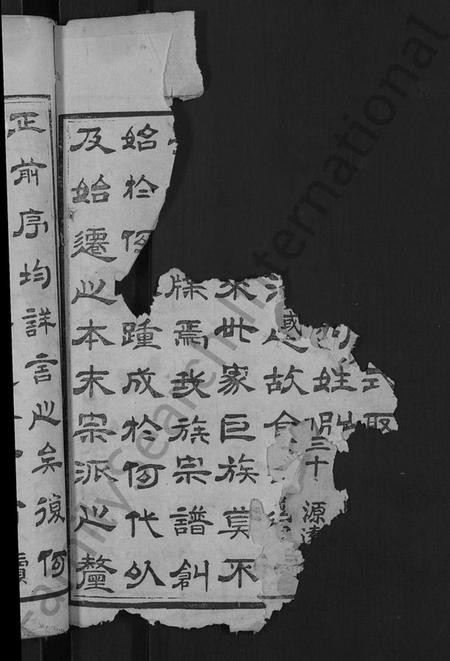 湖北王氏族谱-王氏宗谱 [各房分卷,首4卷].pdf电子版插图2