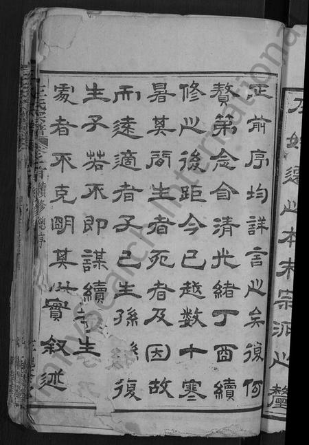 湖北王氏族谱-王氏宗谱 [各房分卷,首4卷].pdf电子版插图3