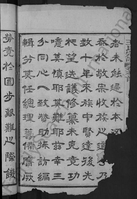 湖北王氏族谱-王氏宗谱 [各房分卷,首4卷].pdf电子版插图4