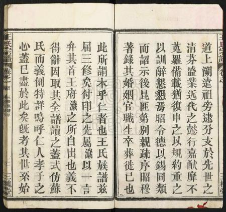 湖北王氏族谱-王氏宗谱[10卷,首1卷].pdf电子版插图2