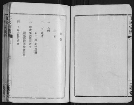 湖北王氏族谱-王氏宗谱[10卷首1卷].pdf电子版插图2