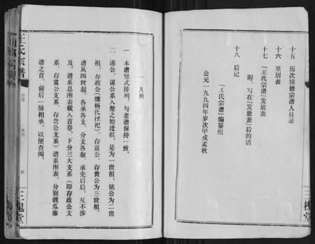 湖北王氏族谱-王氏宗谱[10卷首1卷].pdf电子版插图5