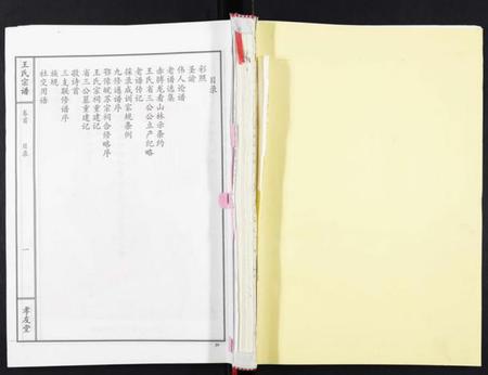 湖北王氏族谱-王氏宗谱[15卷首1卷].pdf电子版