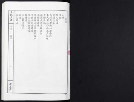 湖北王氏族谱-王氏宗谱[15卷首1卷].pdf电子版插图1