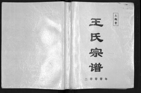 湖北王氏族谱-王氏宗谱[6卷首1卷].pdf电子版