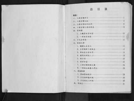 湖北王氏族谱-王氏宗谱[6卷首1卷].pdf电子版插图1