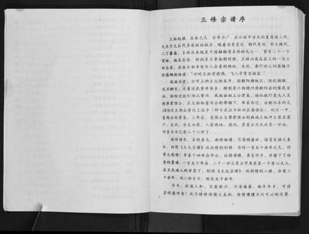 湖北王氏族谱-王氏宗谱[6卷首1卷].pdf电子版插图3