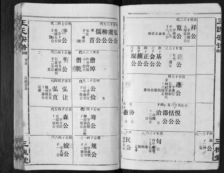 湖北王氏族谱-王氏宗谱[6卷首1卷].pdf电子版插图5