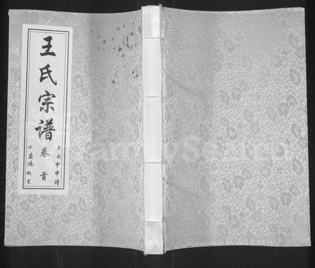 湖北王氏族谱-王氏宗谱 [11卷,首1卷].pdf电子版