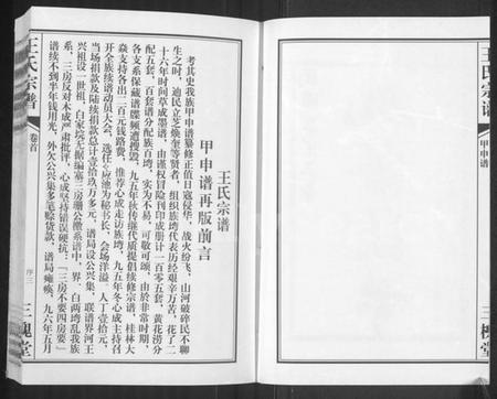 湖北王氏族谱-王氏宗谱 [11卷,首1卷].pdf电子版插图3