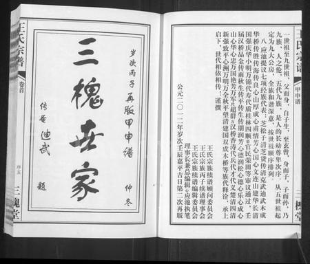 湖北王氏族谱-王氏宗谱 [11卷,首1卷].pdf电子版插图5