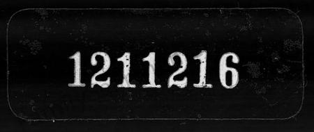 中国未知族谱-中国家谱学略史.pdf电子版插图 中国未知族谱-中国家谱学略史.pdf电子版插图