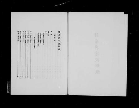 中国未知族谱-谱系与宗亲组织.pdf电子版插图2