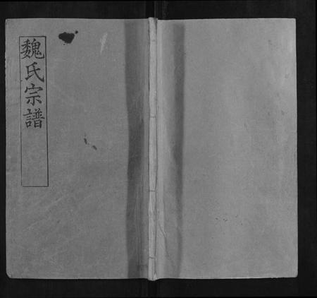 湖北魏氏族谱-魏氏宗谱.pdf电子版