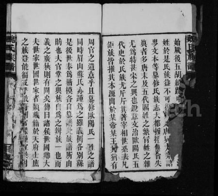 湖北魏氏族谱-魏氏族谱 [15卷,首2卷].pdf电子版插图4