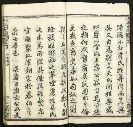 湖北吴氏族谱-吴氏宗谱.pdf电子版插图4