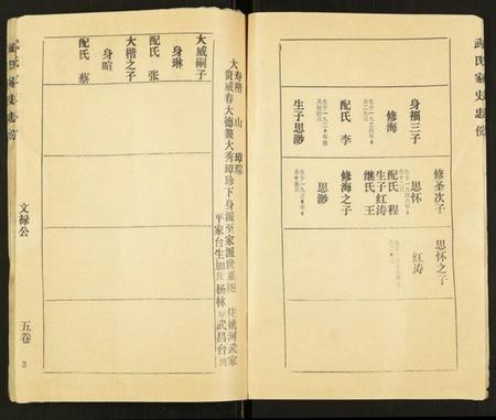 湖北武氏族谱-武氏宗谱.pdf电子版插图3 湖北武氏族谱-武氏宗谱.pdf电子版插图3