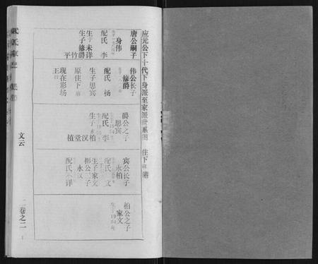 湖北武氏族谱-武氏家史.pdf电子版插图1 湖北武氏族谱-武氏家史.pdf电子版插图1