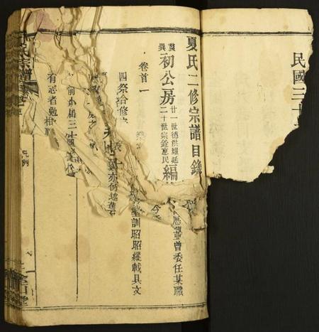 湖北夏氏族谱-夏氏宗谱.pdf电子版插图3