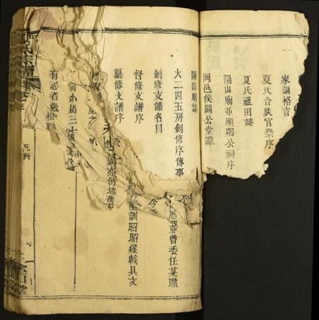 湖北夏氏族谱-夏氏宗谱.pdf电子版插图4