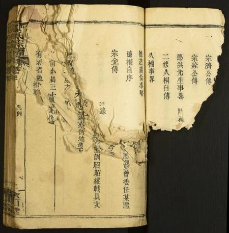 湖北夏氏族谱-夏氏宗谱.pdf电子版插图5