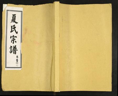 湖北夏氏族谱-夏氏宗谱.pdf电子版