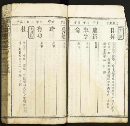 湖北夏氏族谱-夏氏宗谱.pdf电子版插图4