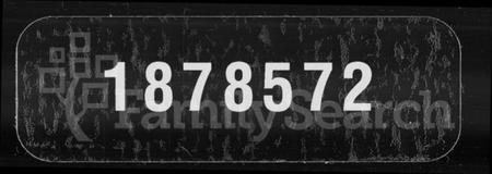 湖北夏氏族谱-夏氏宗谱 [22卷].pdf电子版