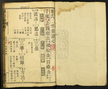 湖北夏氏族谱-夏氏宗谱[15卷].pdf电子版插图1