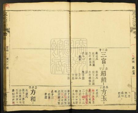 湖北夏氏族谱-夏氏宗谱[15卷].pdf电子版插图3