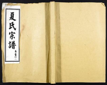 湖北夏氏族谱-夏氏宗谱[25卷首6卷].pdf电子版