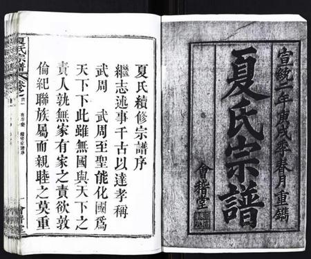 湖北夏氏族谱-夏氏宗谱[25卷首6卷].pdf电子版插图1