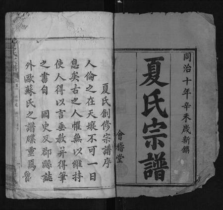 湖北夏氏族谱-夏氏宗谱[28卷首4卷].pdf电子版插图1