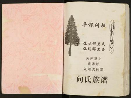 四川向氏族谱-向氏族谱.pdf电子版插图1 四川向氏族谱-向氏族谱.pdf电子版插图1