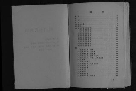 湖北向氏族谱-利川向氏族谱[不分卷].pdf电子版插图2