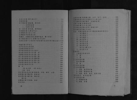 湖北向氏族谱-利川向氏族谱[不分卷].pdf电子版插图4