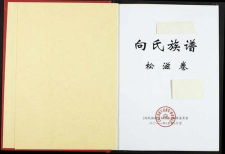 湖北向氏族谱-向氏族谱.pdf电子版插图1