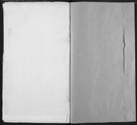 湖北项氏族谱-项氏宗谱.pdf电子版插图1