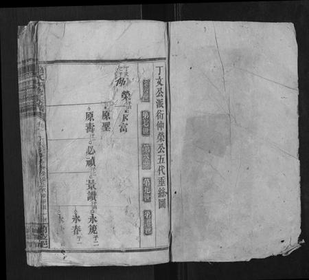 湖北萧氏族谱-萧氏四修族谱.pdf电子版插图1