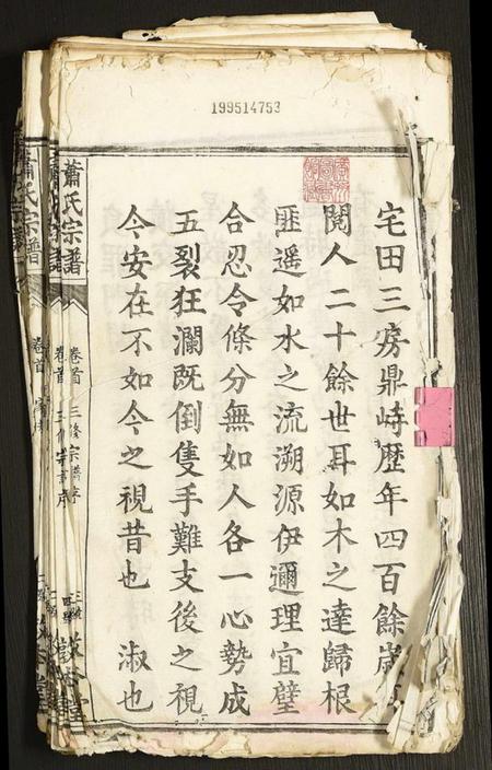 湖北萧氏族谱-萧氏宗谱.pdf电子版插图1