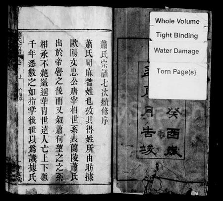 湖北萧氏族谱-萧氏宗谱 [16卷].pdf电子版插图3