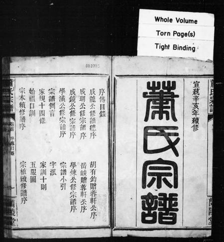 湖北萧氏族谱-萧氏宗谱 [10卷,首1卷].pdf电子版插图1