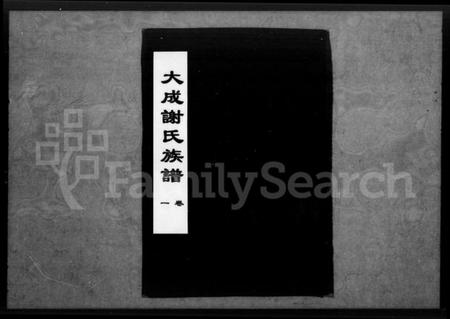 湖北谢氏族谱-大成谢氏族谱 [8卷].pdf电子版插图4