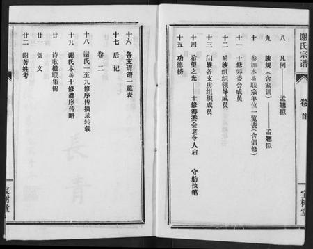 湖北谢氏族谱-谢氏宗谱.pdf电子版插图4