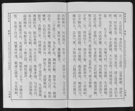 湖北徐氏族谱-徐氏宗谱[48卷首8卷].pdf电子版插图4