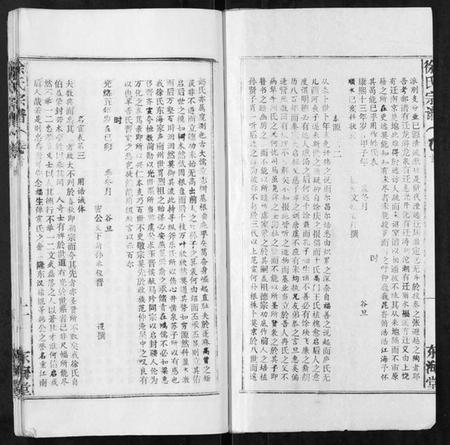 湖北徐氏族谱-徐氏宗谱[9卷首1卷].pdf电子版插图2