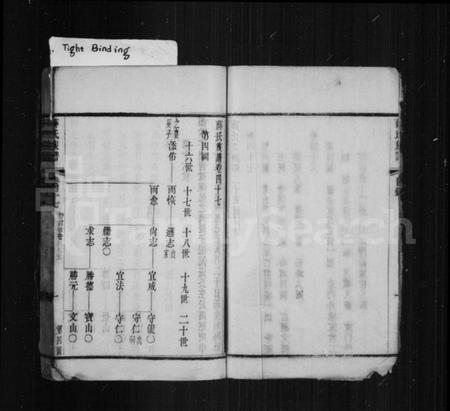 中国薛氏族谱-薛氏族谱 [残卷].pdf电子版插图2